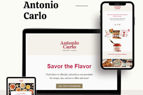 Mailchimp Email Design and Customer