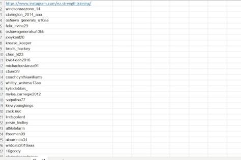 Copy a list of follower in excel