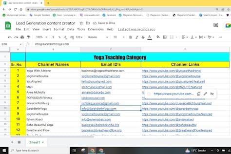 Data Entry of 100K subscriber Content Creater