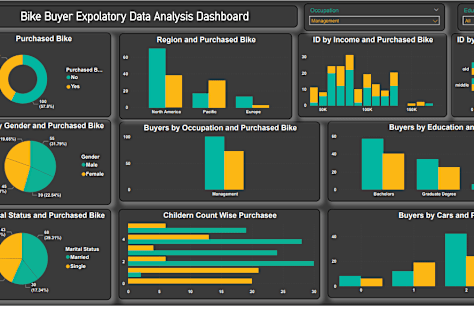 Bike Expolatroy dashboard