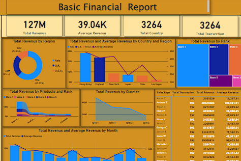 basic financial report