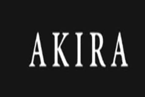Netsuite Developer, Solution Architect, AkiraShop