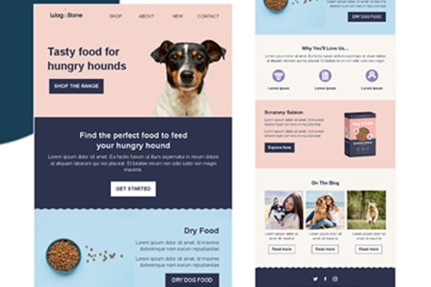 Email Design for Pet Brands
