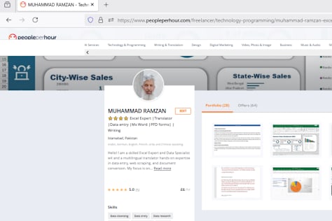 Excel | Translation | Writing