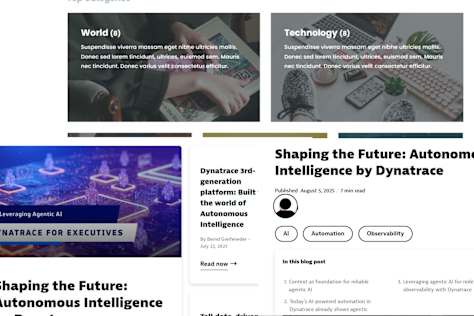 WordPress Blogging Platform