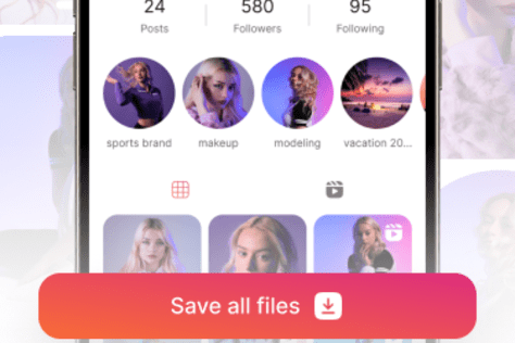 Instagram Downloader — Client: Veronika Aklulina (Russ