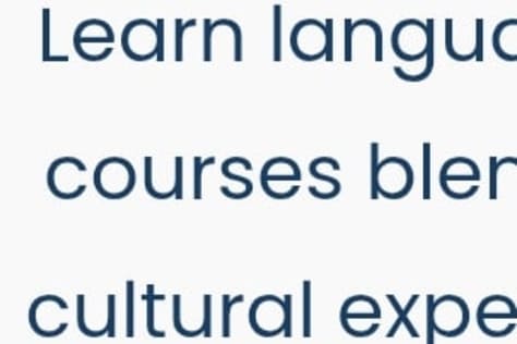 Website for learning new languages