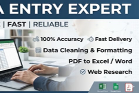 Expert Data Entry Specialist / MS Excel \u0026 PDF Conversion