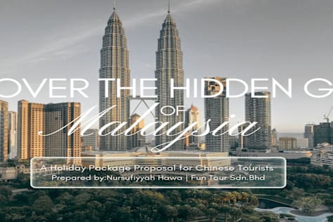 Holiday Package Business Presentation