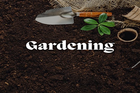 Gardening Website
