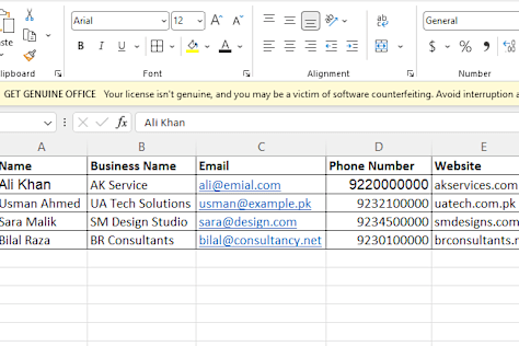 Data Entry & Formatting Project