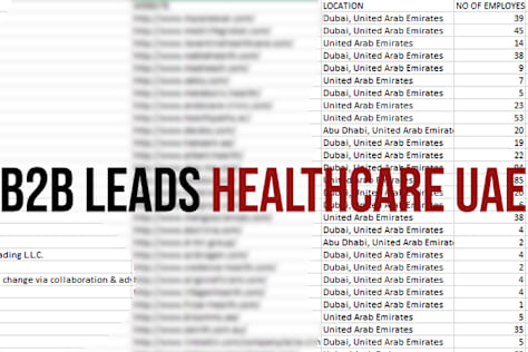 30 Verified B2B Leads  Healthcare UAE