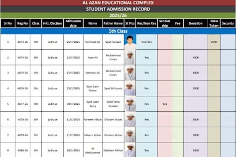 Professional Excel Data Entry Sample