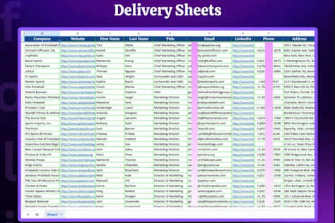 MY B2B Leads