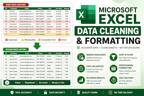 Microsoft Excel Data Cleaning & Formatting