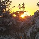 imad k