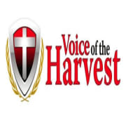 Voice Logo.jpg