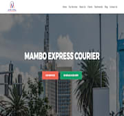 mamboexpresscourier.co.ke.png