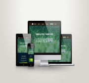 Responsive-showcase-presentation.jpg