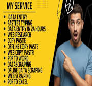 I will do with high quality results of any kind of data entry.jpg