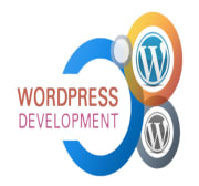 Wordpress website development.jpg