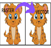 RASTER.png