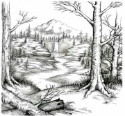 Nature drawing.jpg