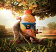 Pulpy Orange Advertisement_ A Study.jpg