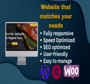 build-design-and-develop-a-modern-wordpress-website-in-just-24-hours.jpeg