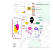 Wrok Process (Source to Validity).jpg