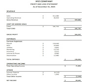 Profit and Loss Statement.jpg