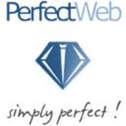 View Service Offered By Perfect Web 