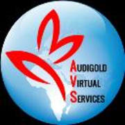 View Service Offered By Audigold Virtual Services 