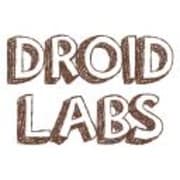 View Service Offered By DroidLabs 