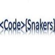 View Service Offered By codesnakers 