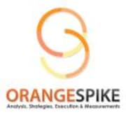 View Service Offered By OrangeSpike Inc 