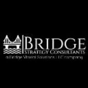 View Service Offered By Bridge Strategy Consultants 