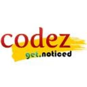 View Service Offered By Codezin Technology Solutions 
