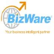 View Service Offered By Bizware International 