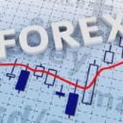 View Service Offered By Forex Trading 