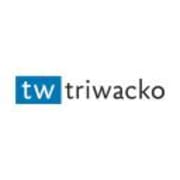 View Service Offered By Triwacko IT Solutions Pvt Ltd 