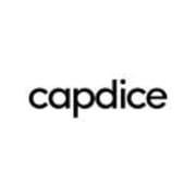 View Service Offered By Capdice 