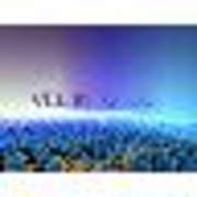 View Service Offered By velinfotech 