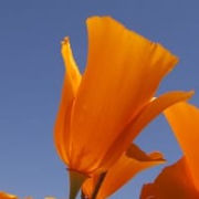 View Service Offered By Daniel Gleason 