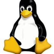 View Service Offered By Amin Bunyatov 