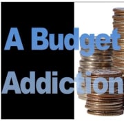 View Service Offered By A Budget Addiction 