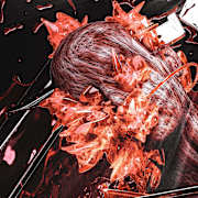 View Service Offered By Suzuy 