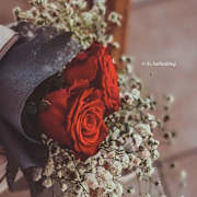 View Service Offered By tasnim Sadek 