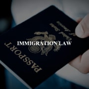 View Service Offered By IMMIGRATION LAW 