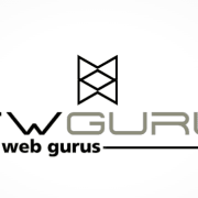 View Service Offered By Twguru-US 